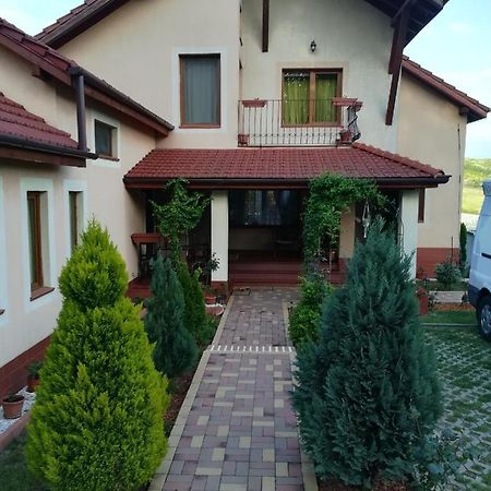 Casa Doina Apartment Băile Felix Exterior photo