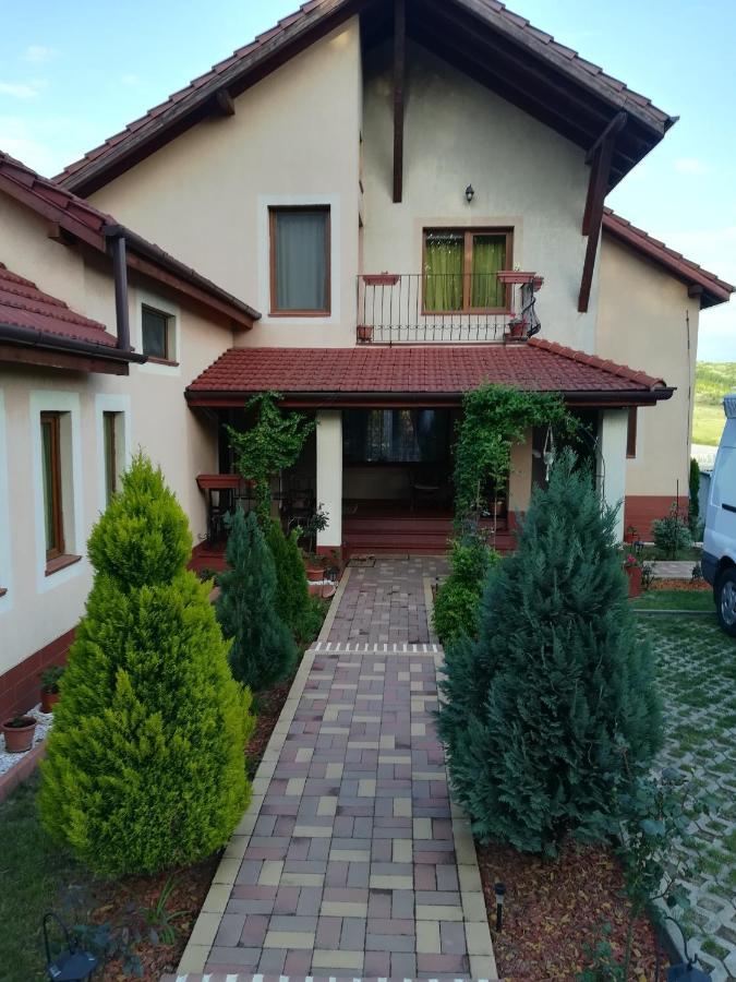 Casa Doina Apartment Băile Felix Exterior photo